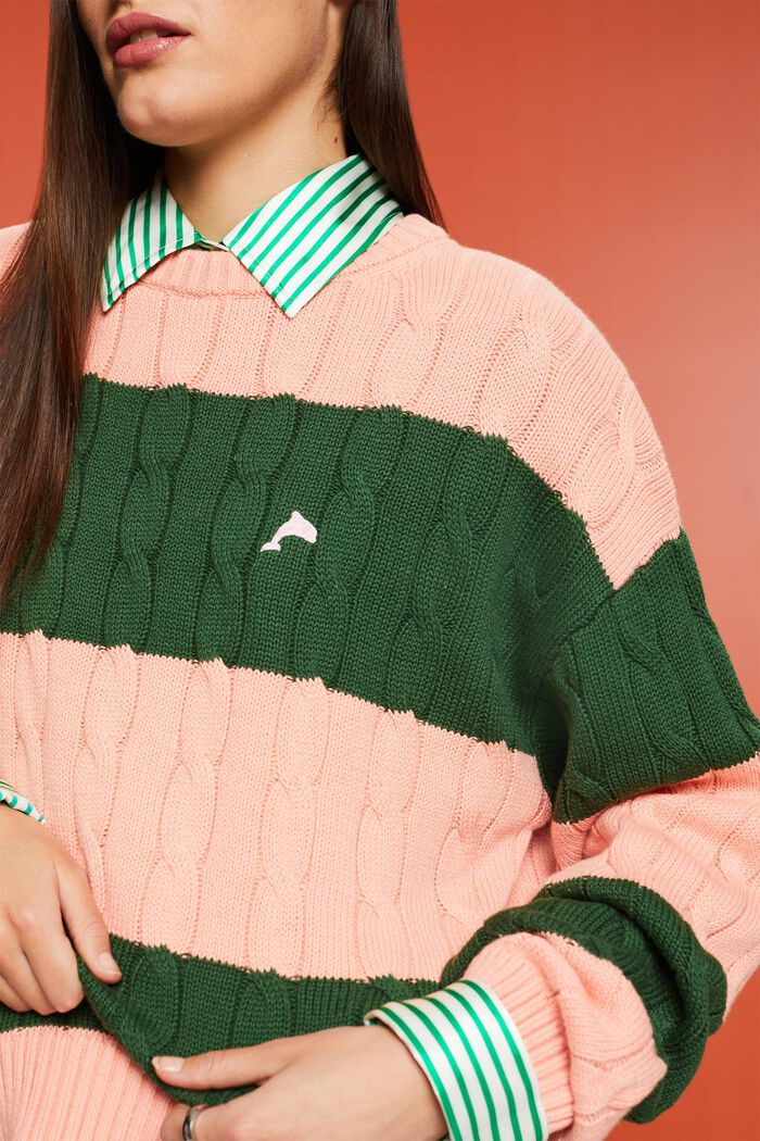 Gestreifter Zopfstrickpullover mit Delfin-Logo