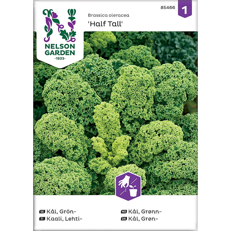 Nelson garden Frø Kål Grønn-, Half Tall