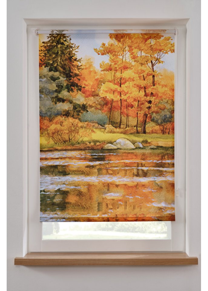 Sichtschutzrollo mit Wald-Motiv
