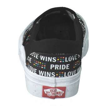 Vans WM Asher Skate Sneaker in schwarz
