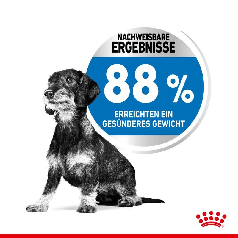 Royal Canin Mini Light Weight Care