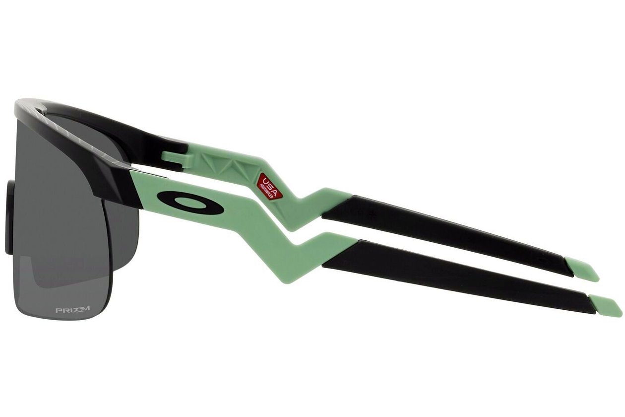 Oakley Resistor Matte Black/Prizm Black
