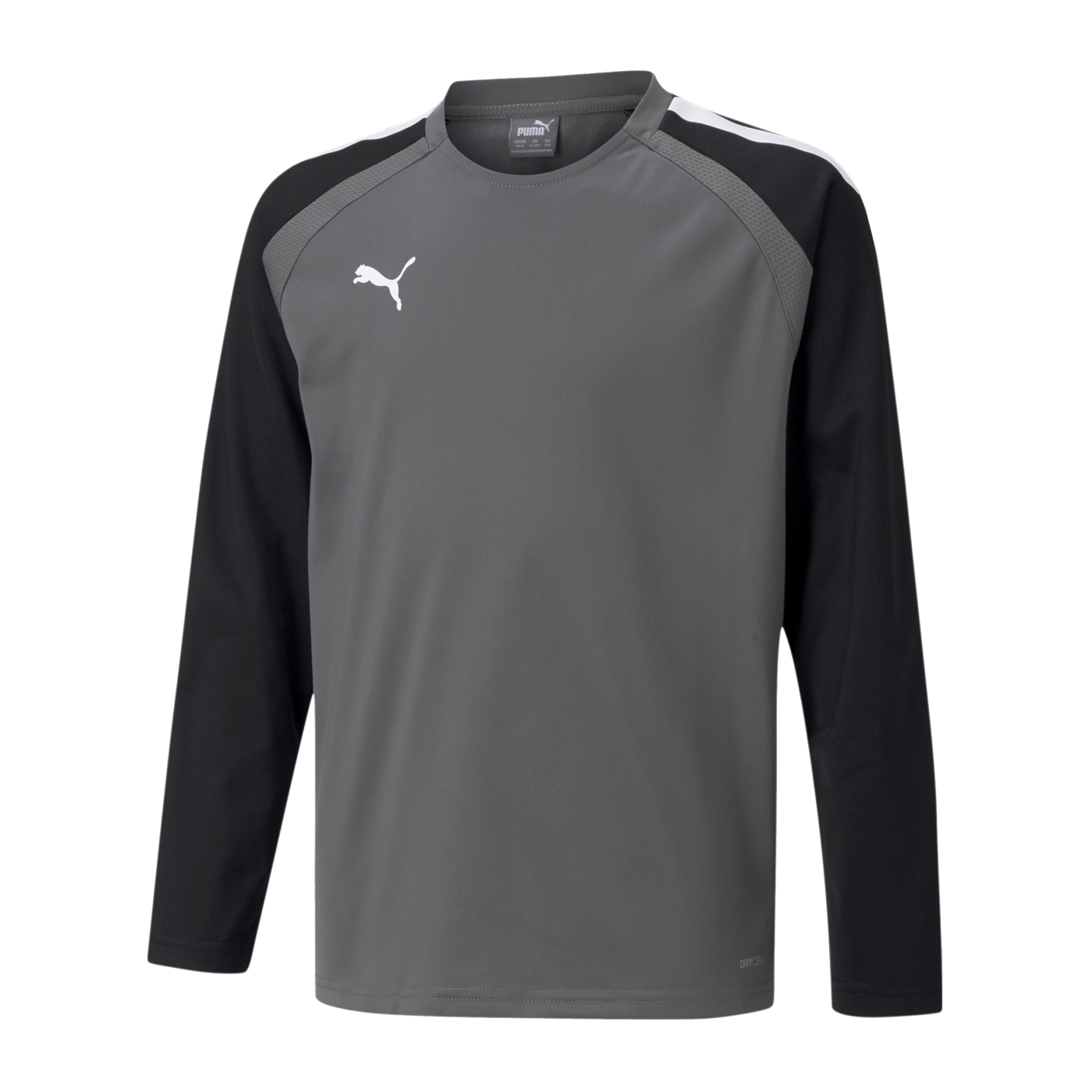 PUMA teamLIGA Sweatshirt Kids Grau F13