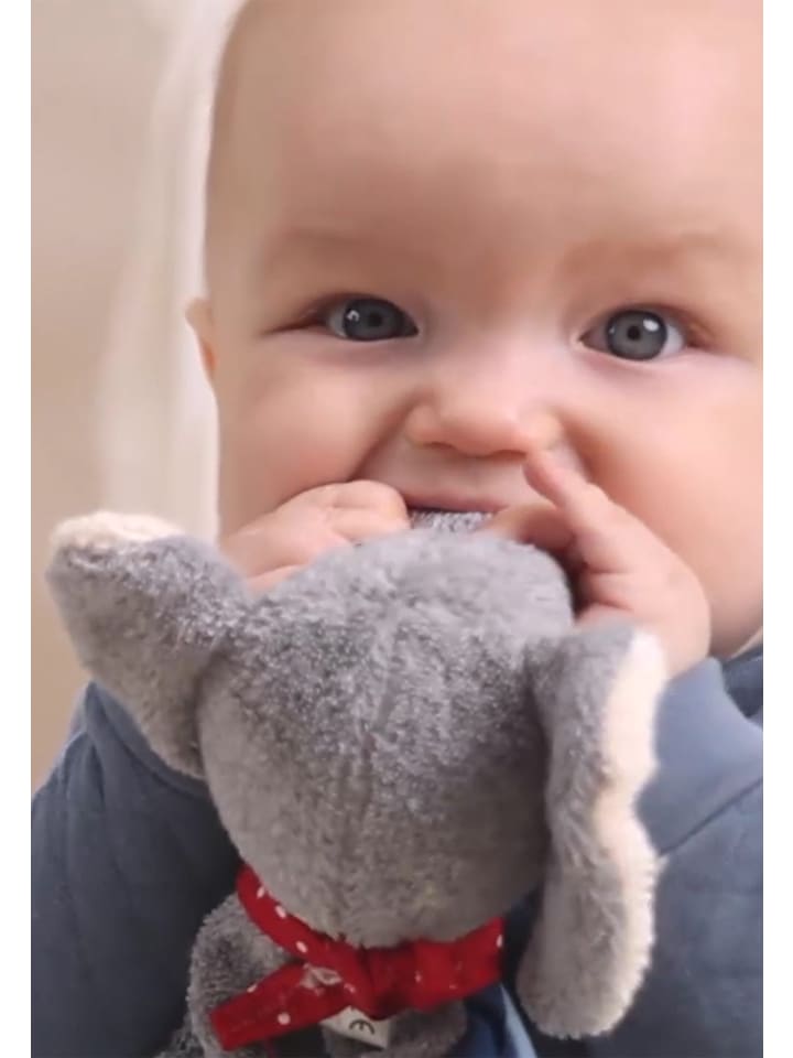 Sigikid Schnuffeltuch Classics in blau günstig kaufen onesize