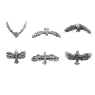 Flying Ravens (6)