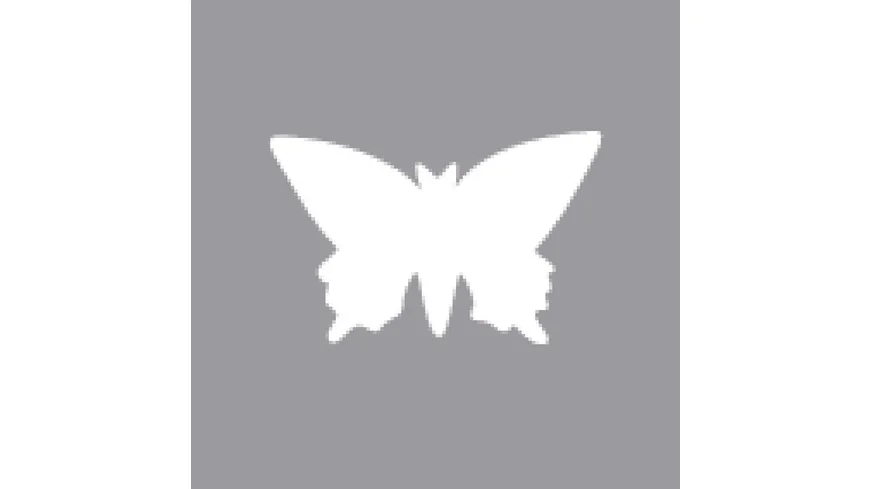 Rayher Motivstanzer Schmetterling 2,54 cm