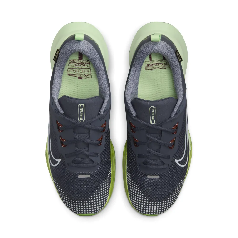 Nike Juniper Trail 2 GORE TEX FB2067-403 / blau