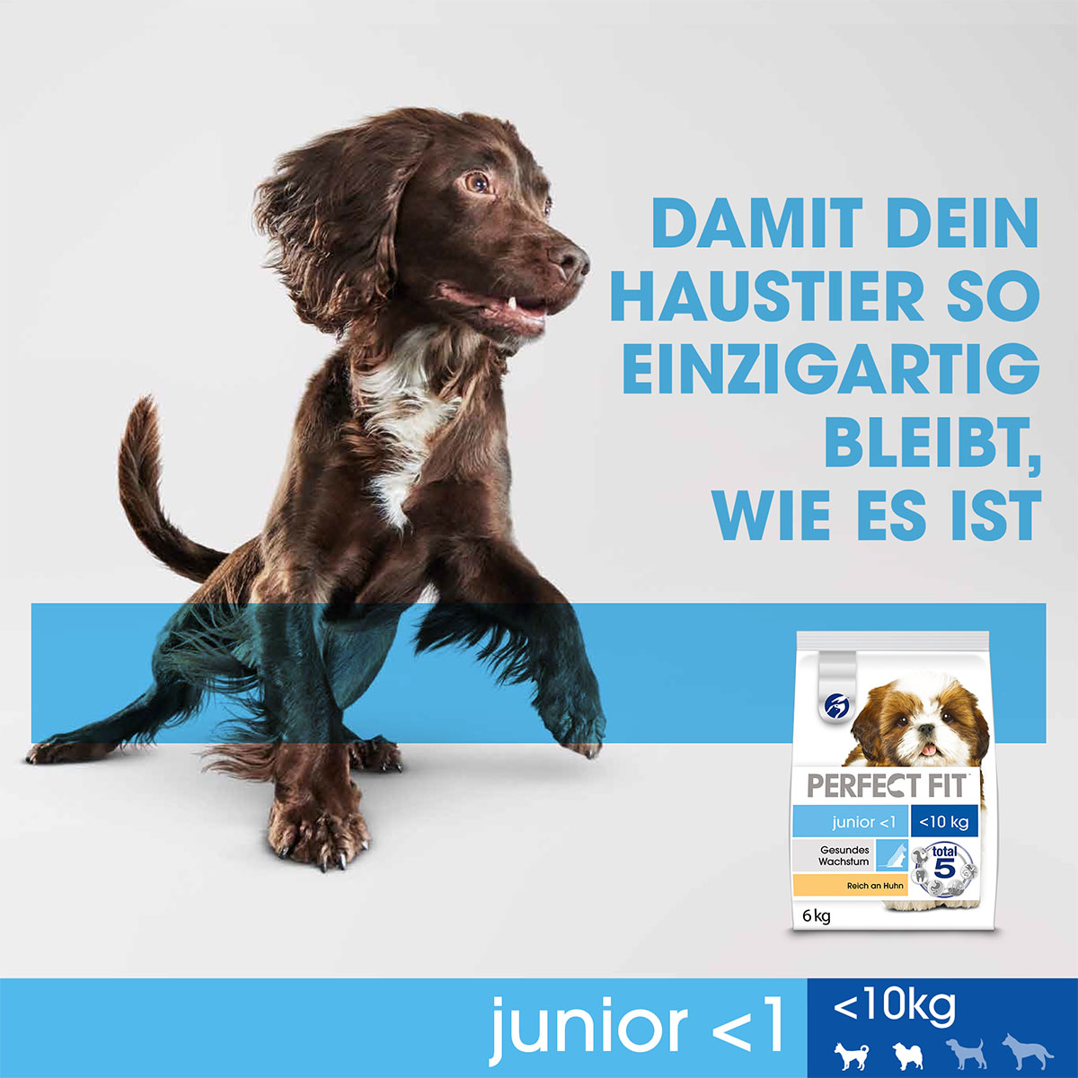 PERFECT FIT Hund Junior <1 XS/S Huhn 6kg kaufen bei ZooRoyal