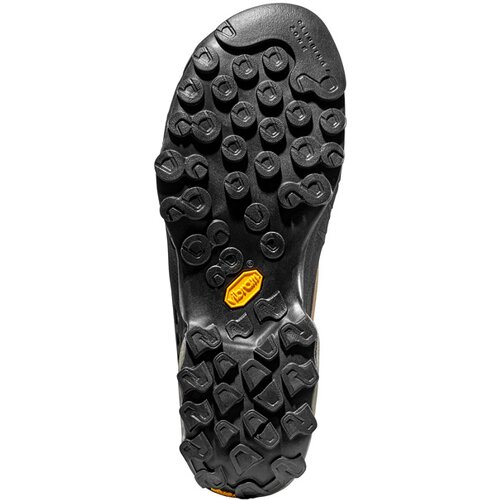 HERREN KLETTERSCHUHE TX4 GTX