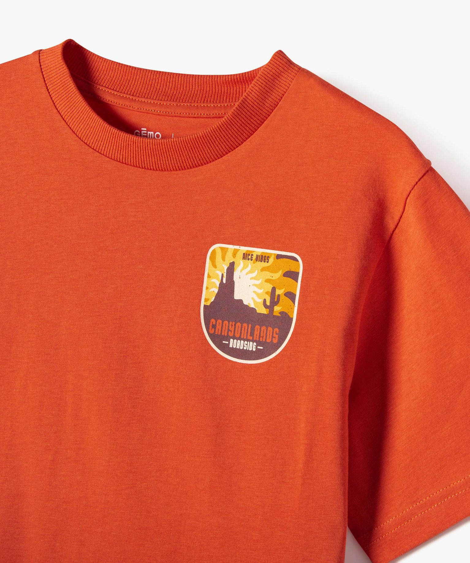 Tee-shirt Garçon à manches courtes avec motif dos orange | GEMO