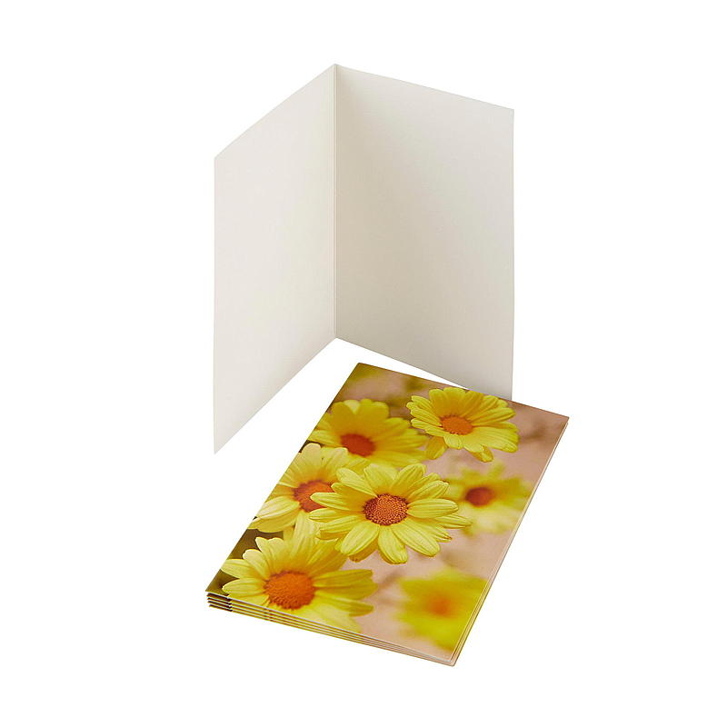 Kort gule margeritter