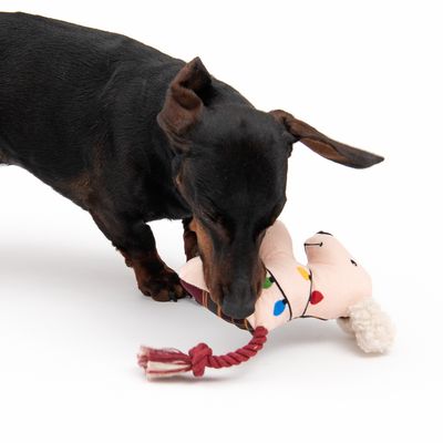TIAKI Hundespielzeug Weihnachtshund