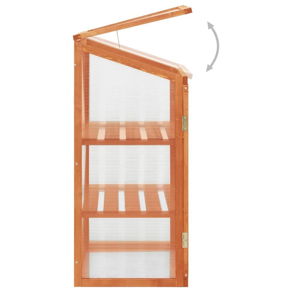 vidaXL Gewächshaus Gewächshaus 60x45x100 cm Tannenholz