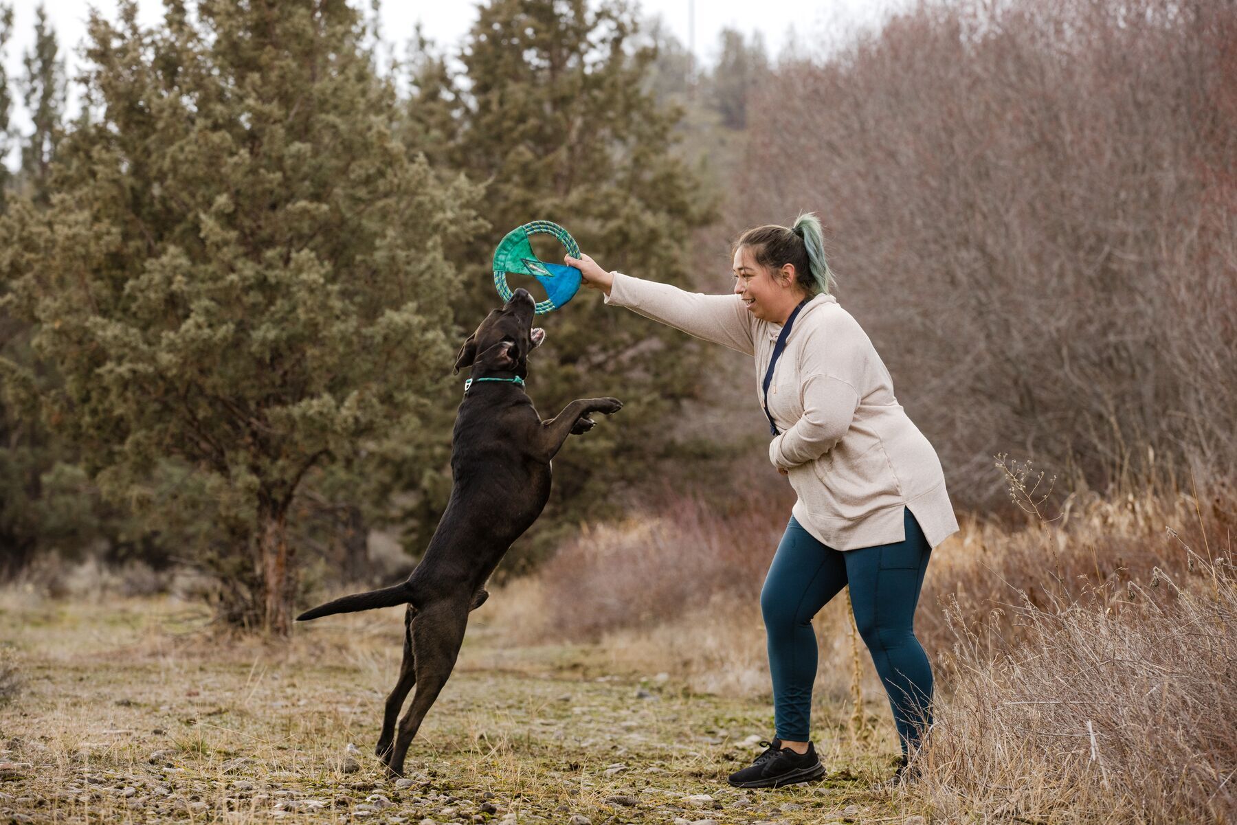 Ruffwear Frisbees & Wurfspielzeug Ruffwear Pacific Ring™ Spielzeug blau/ türkis