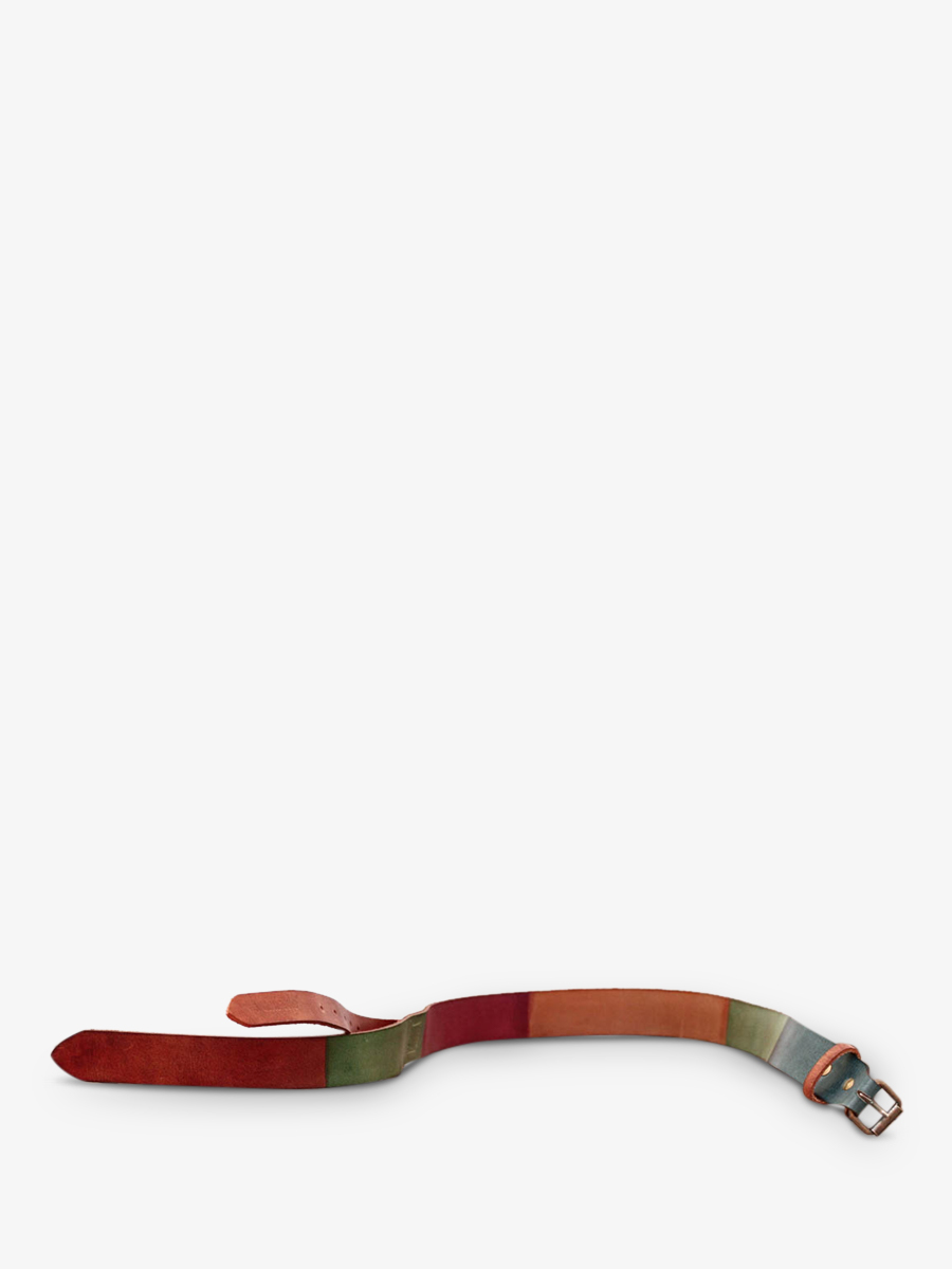 LaCeinture - Multicolore