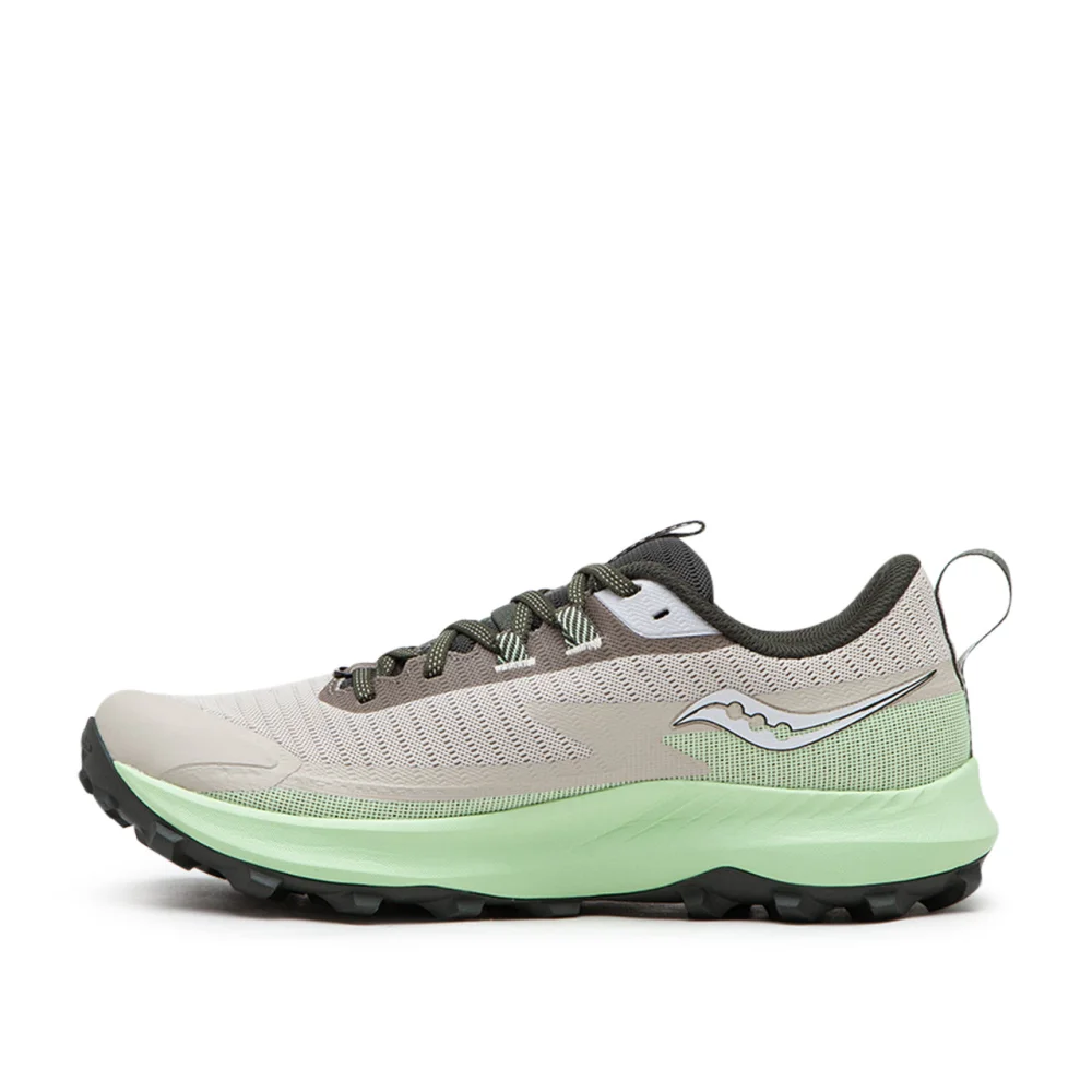 Saucony Peregrine 13 GTX Tex Gore S20841-30 / braun