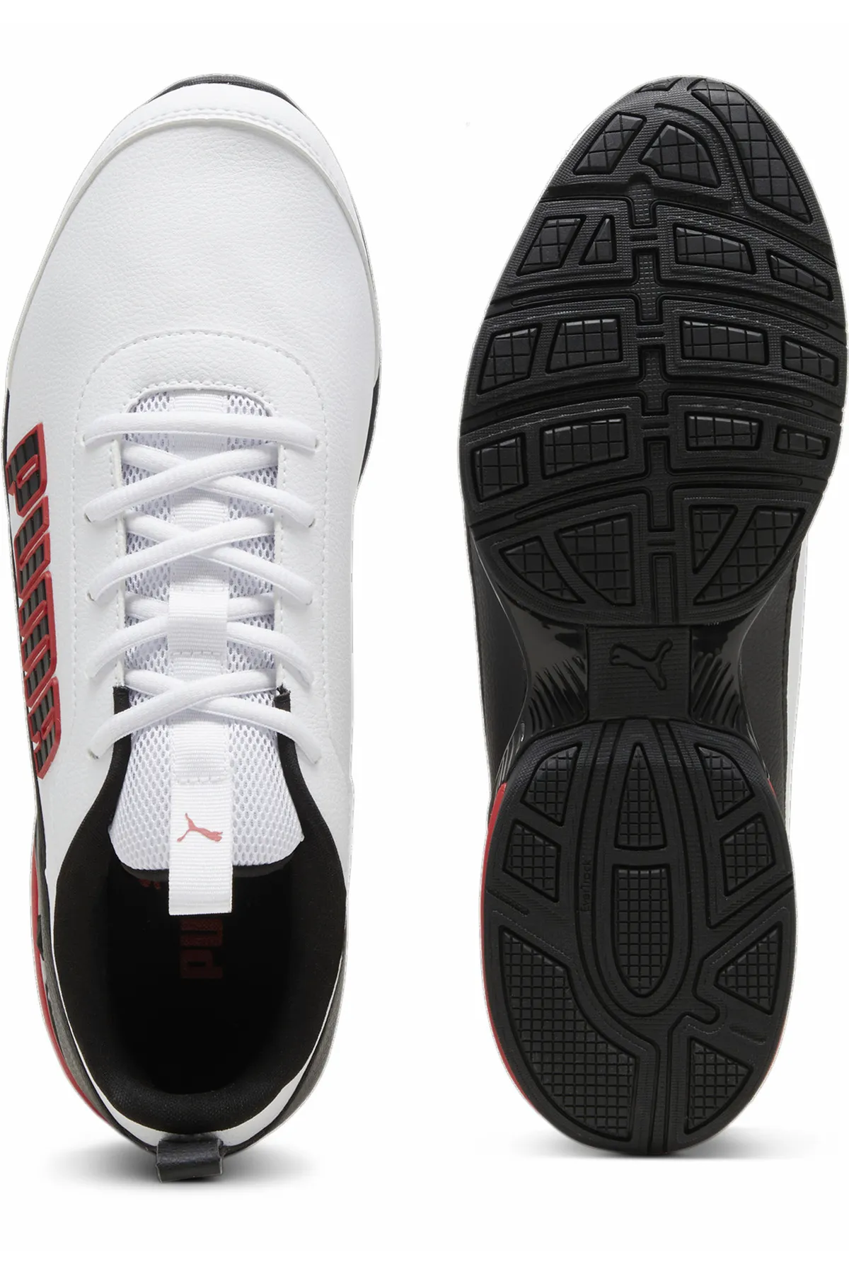 Puma  Equate SL2 Laufschuhe