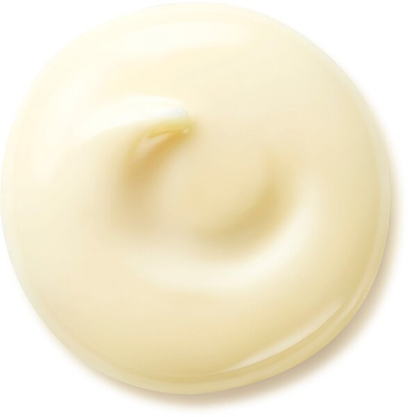 Shiseido Benefiance Wrinkle Smoothing Day Cream SPF25 Tagescreme