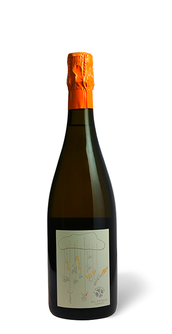 - Domaine de Bellivière Les p'tits vélos à pignon fixe Vin de France 75 cl - Blanc