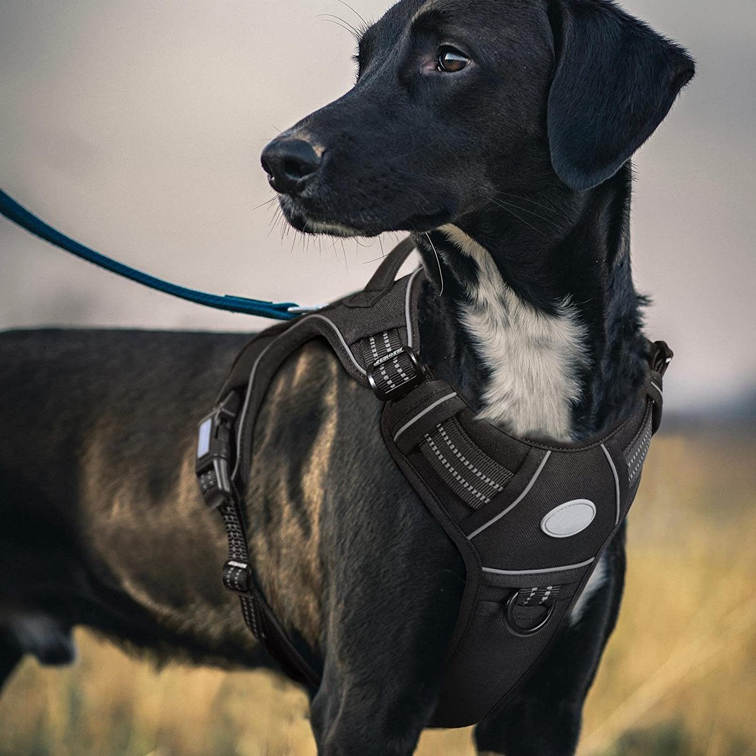 zggzerg Hunde-Geschirr Taktisches Hundegeschirr, Anti Zug Sicherheitsgeschirr für Hunde