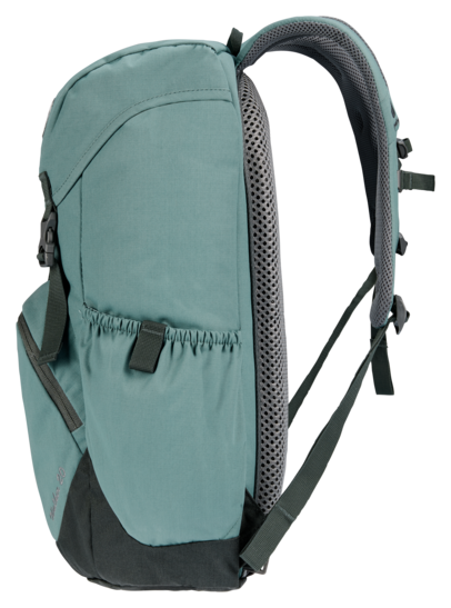 Walker 20