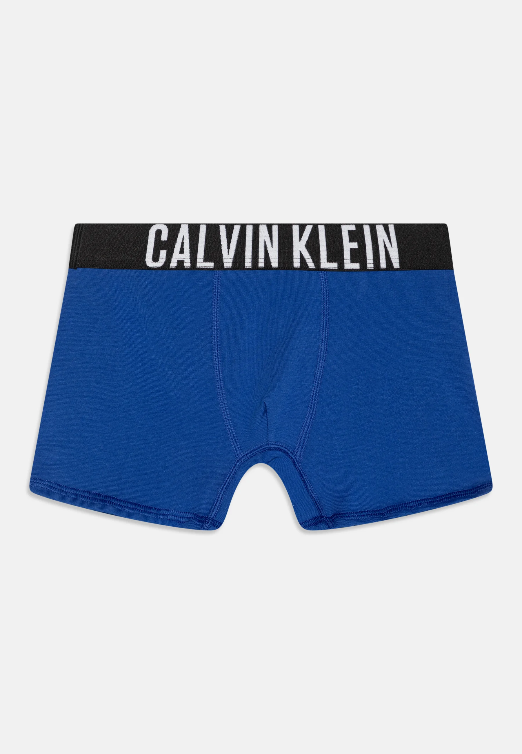 Calvin Klein Underwear TRUNK PACK DE 2 - Culotte