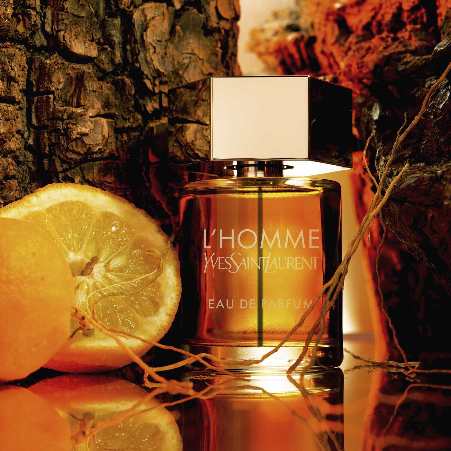 Yves St Laurent L'Homme Eau de Parfum
