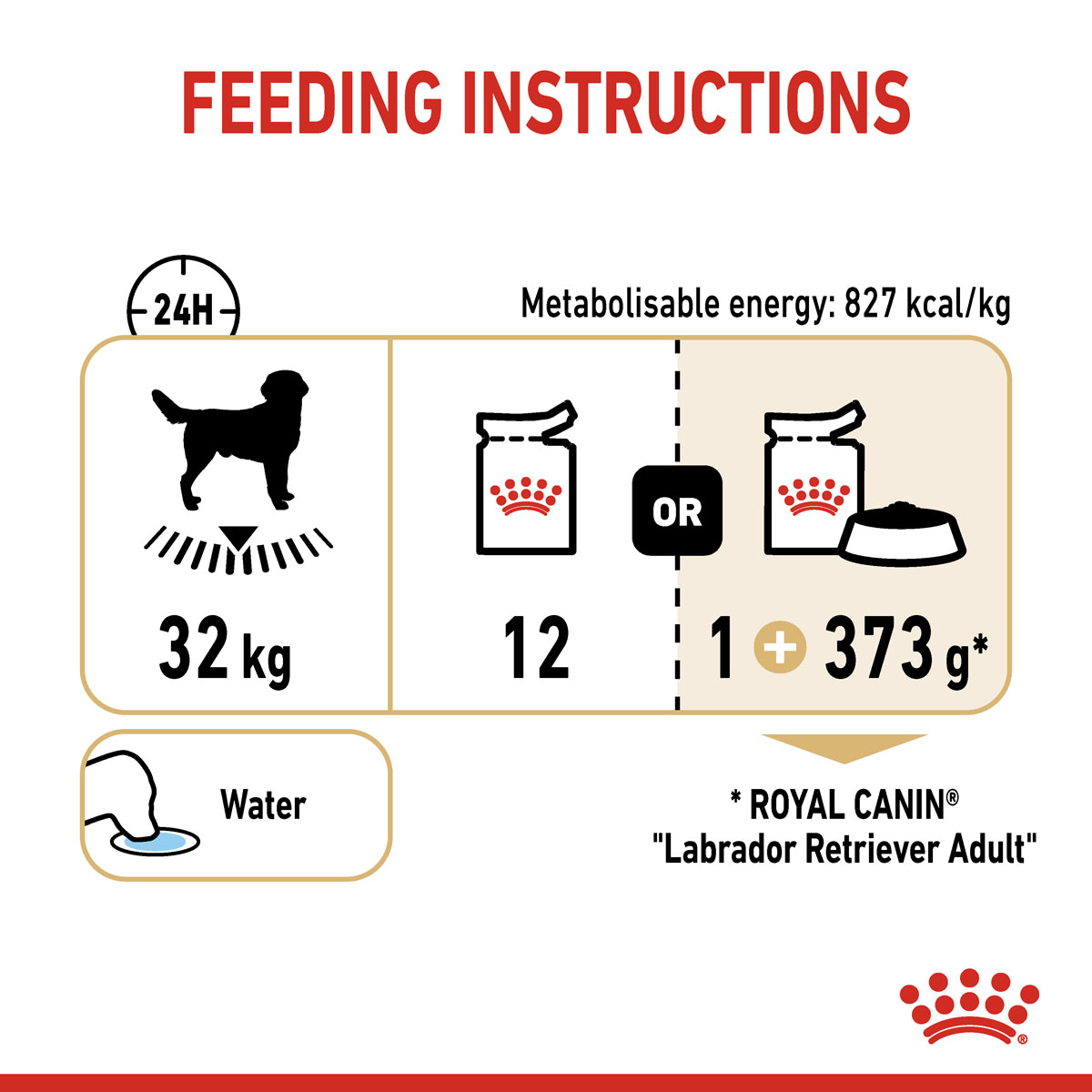 ROYAL CANIN Labrador Retriever Adult 3kg + Labrador Adult in Soße 10x140g