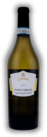 Tenute Arnaces, Pinot Grigio, DOC, 2022, Venetien  Tenute Arnaces, Pinot Grigio, DOC, 2022, Venetien  Ein typischer Pinot Grigio. Jahrgang 2022 - 0,75	 Liter - Vol 13%