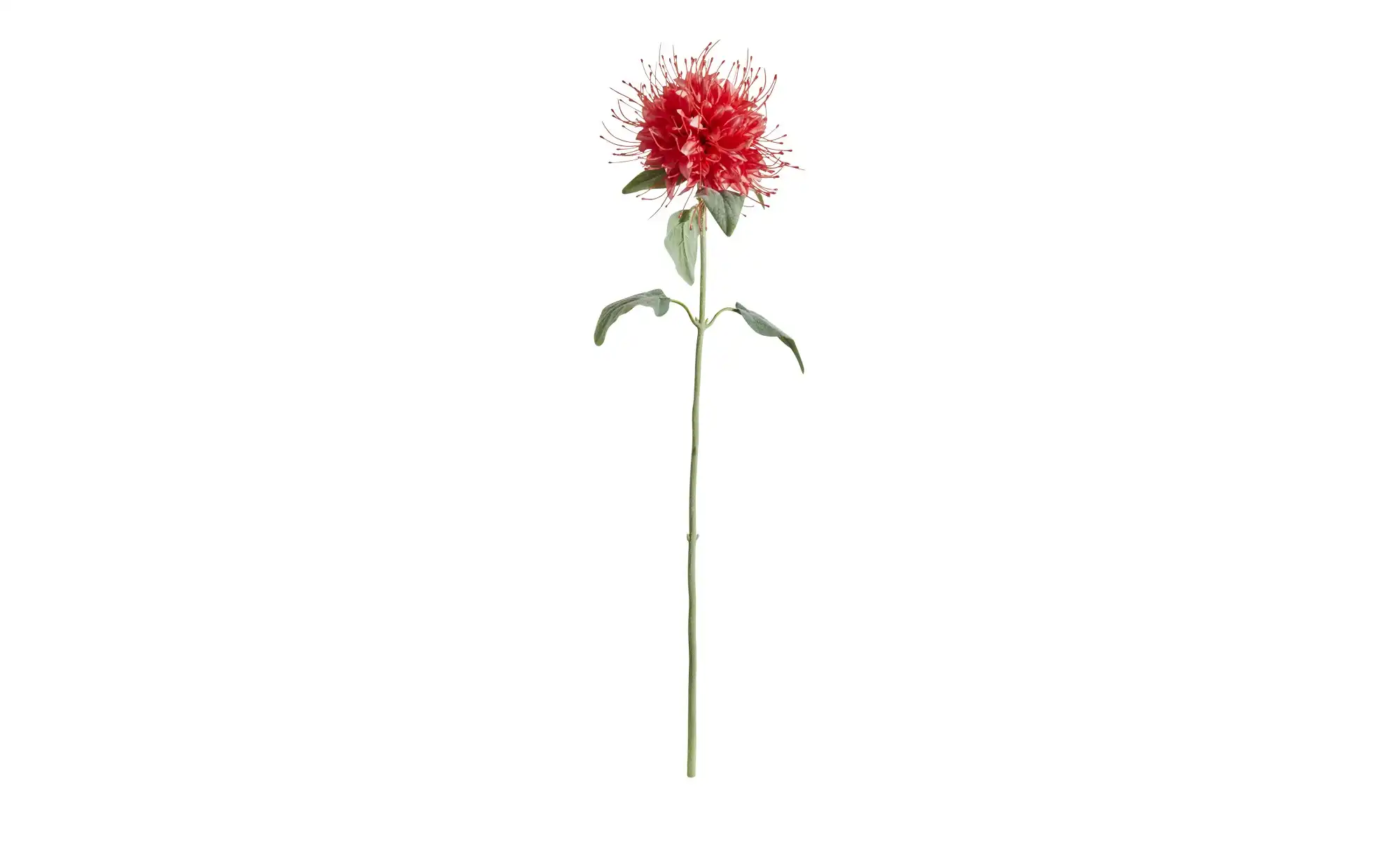 HOME STORY Kunstblume Monarda