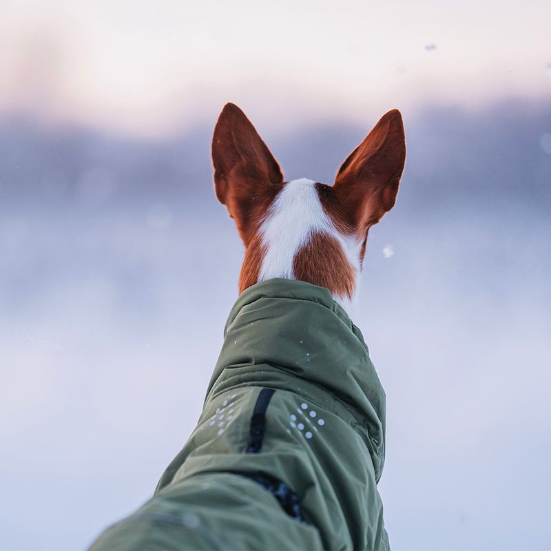 Rukka Warmup Hundemantel, oliv zu TOP-Preisen