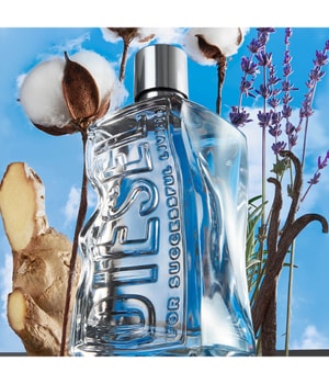 DIESEL D by DIESEL Eau de Toilette 100 ml