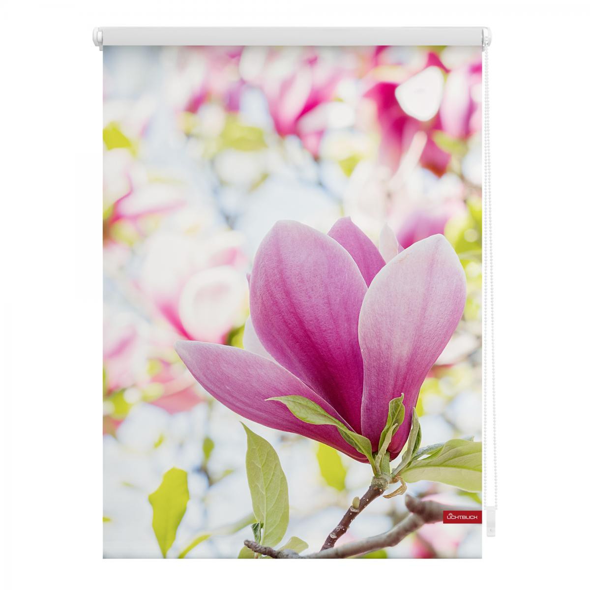 Lichtblick Rollo Klemmfix, ohne Bohren, blickdicht, Magnolie - Rosa, 120 x 150 cm (B x L)