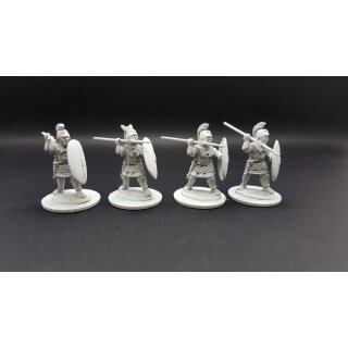 The Punic Wars - Republican Roman Principes/Triarii (Attacking)