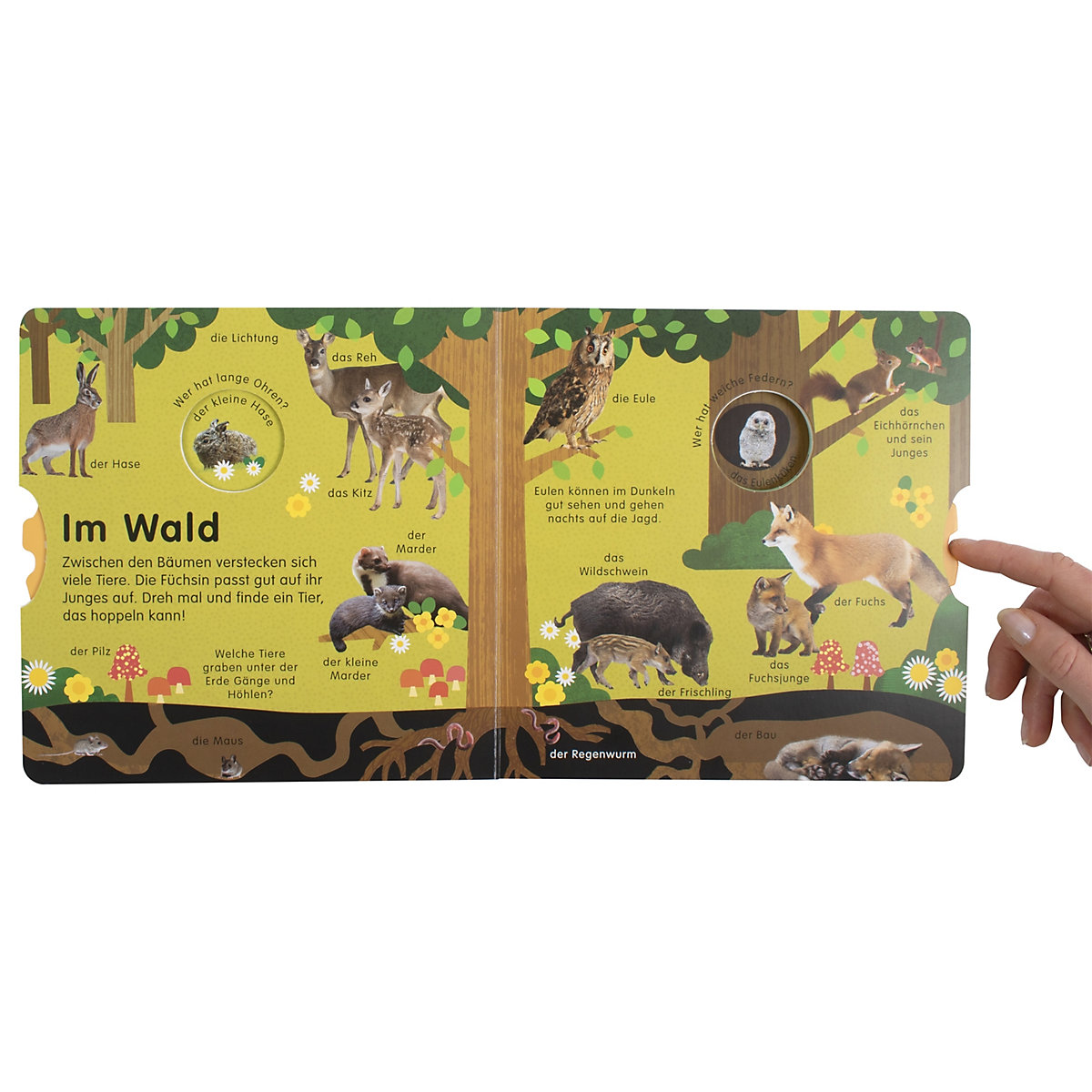 Erstes Lernen. Tierkinder
