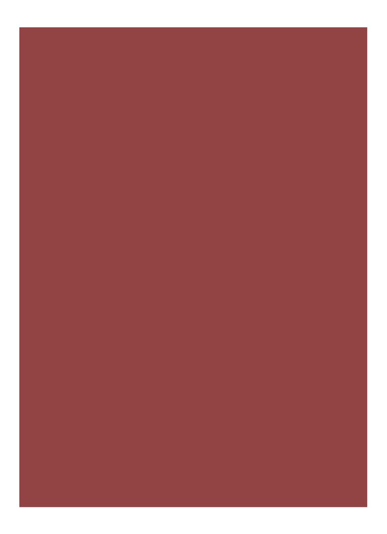 Bobbi Brown Luxe -huulipuna