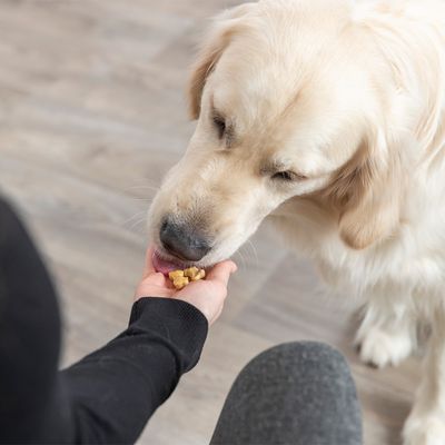 Trixie Backmatte mit Knochen für Hundesnacks