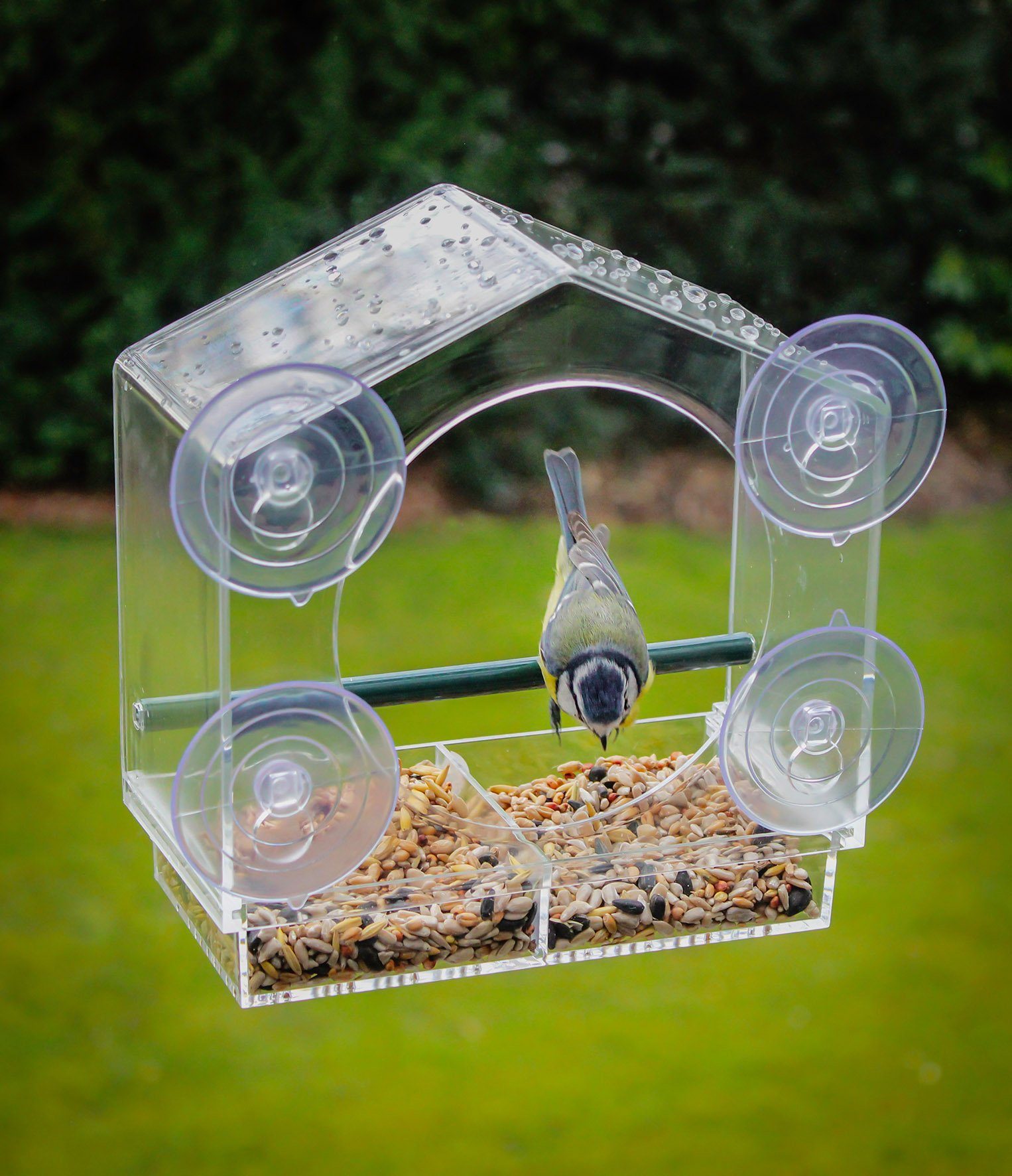 Spetebo Vogelhaus Fenster Futterhäuschen für Vögel - 20 x 18 cm, Transparentes Vogelhäuschen mit Saugnäpfen und Sitzstange