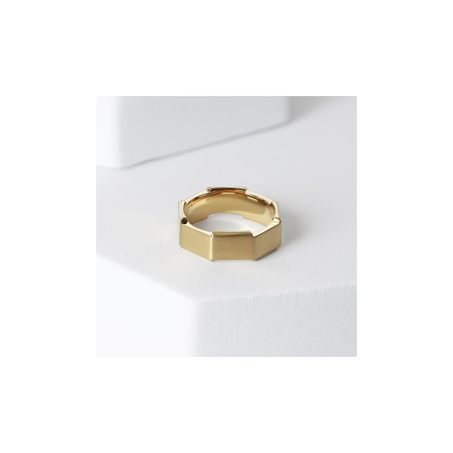 FAVS Herrenring