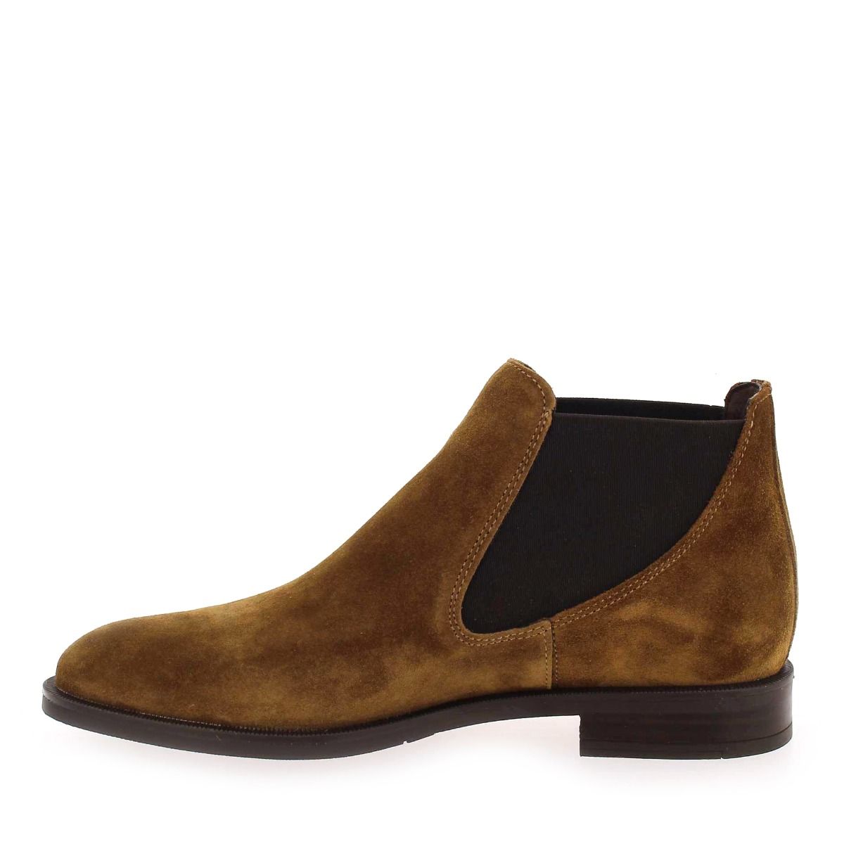 Alpe  2646 - camel