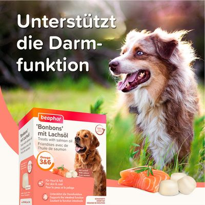 Beaphar 'Bonbons' mit Lachsöl