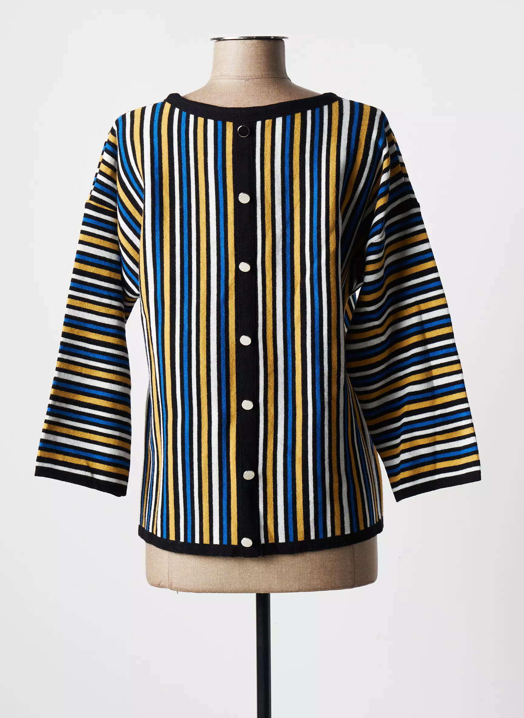 Griffon Pulls Femme couleur bleu