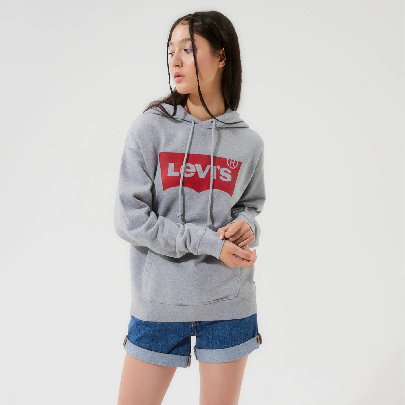 LEVI'S HOODIE GRAPHIC STANDARD HOODIE Grau