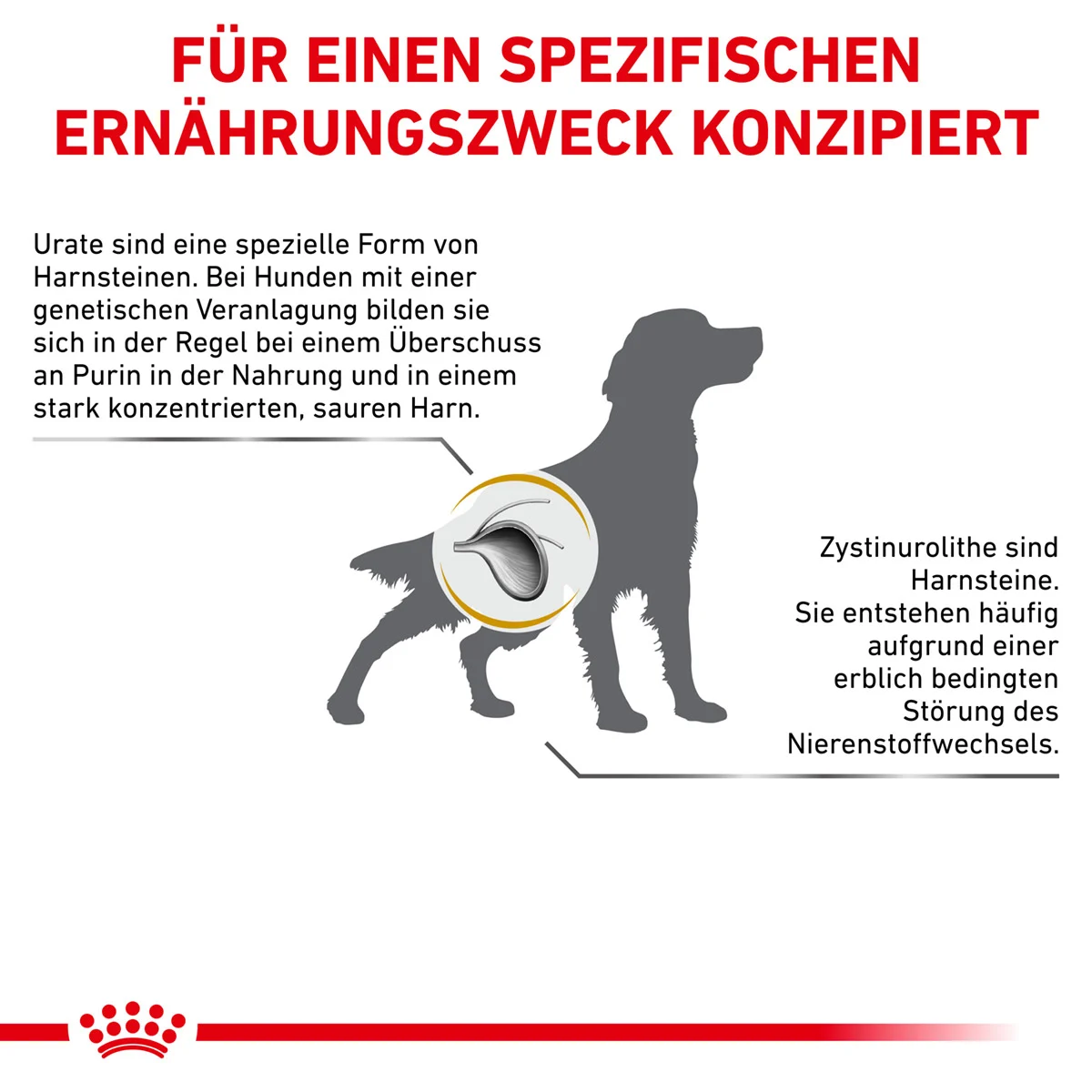 ROYAL CANIN Veterinary URINARY U/C Trockenfutter für Hunde