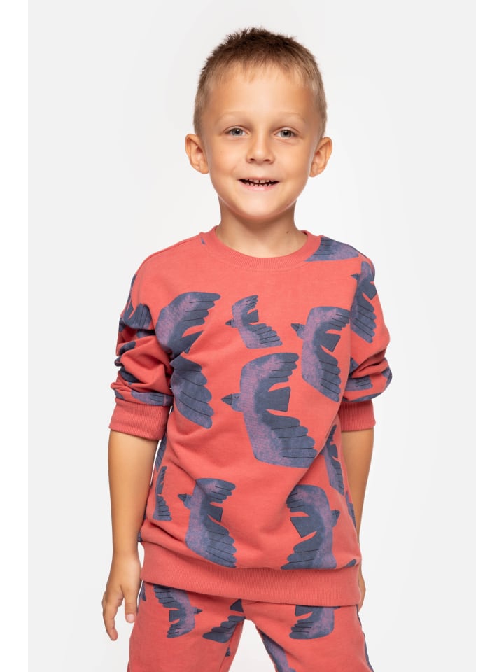 Coccodrillo Sweatshirt in dunkelrot günstig kaufen