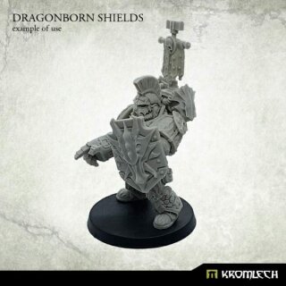 Dragonborn Shields (5)