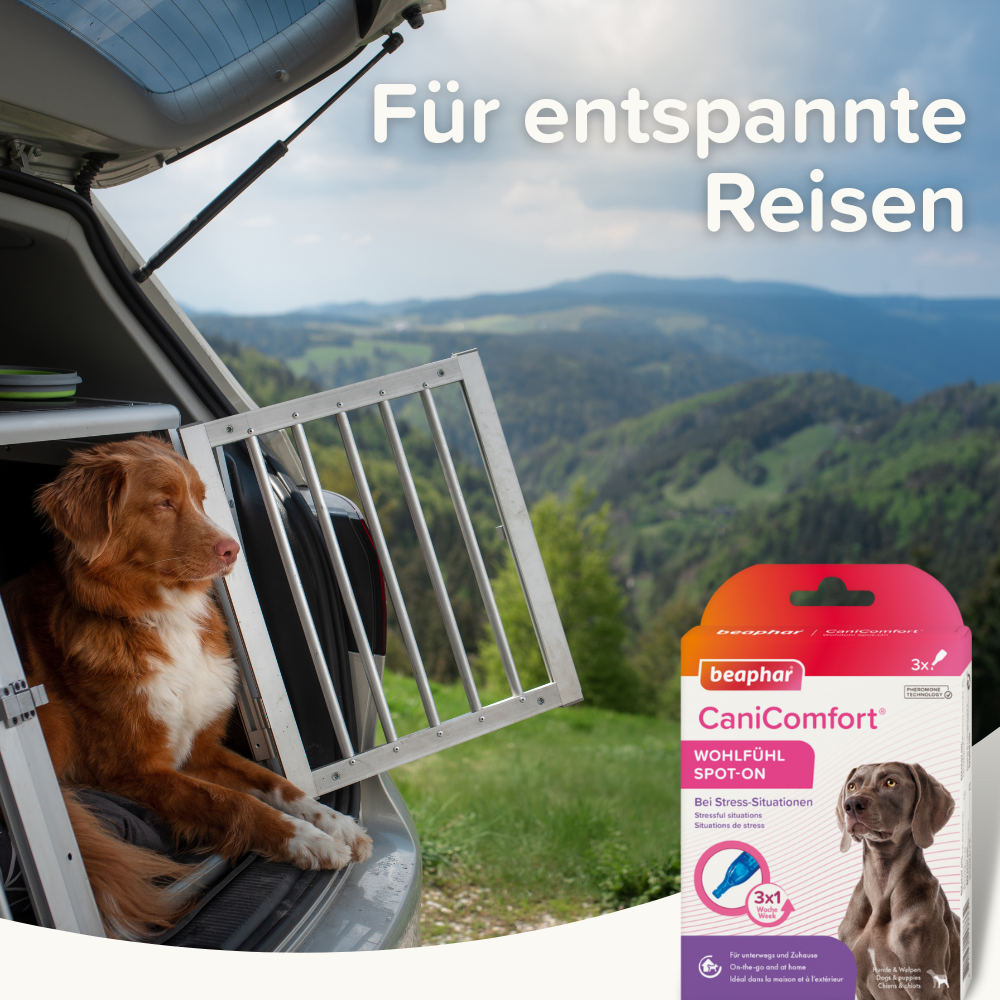 Beaphar Beruhigungsmittel Beaphar CaniComfort Wohlfühl Spot-On 3x1 ml