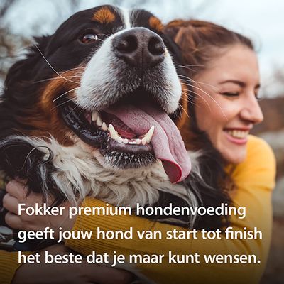Fokker Dog Special-Fit 4