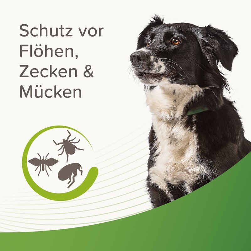 Beaphar Floh- & Zeckenmittel Beaphar Zecken- und Flohschutz Halsband für Hunde