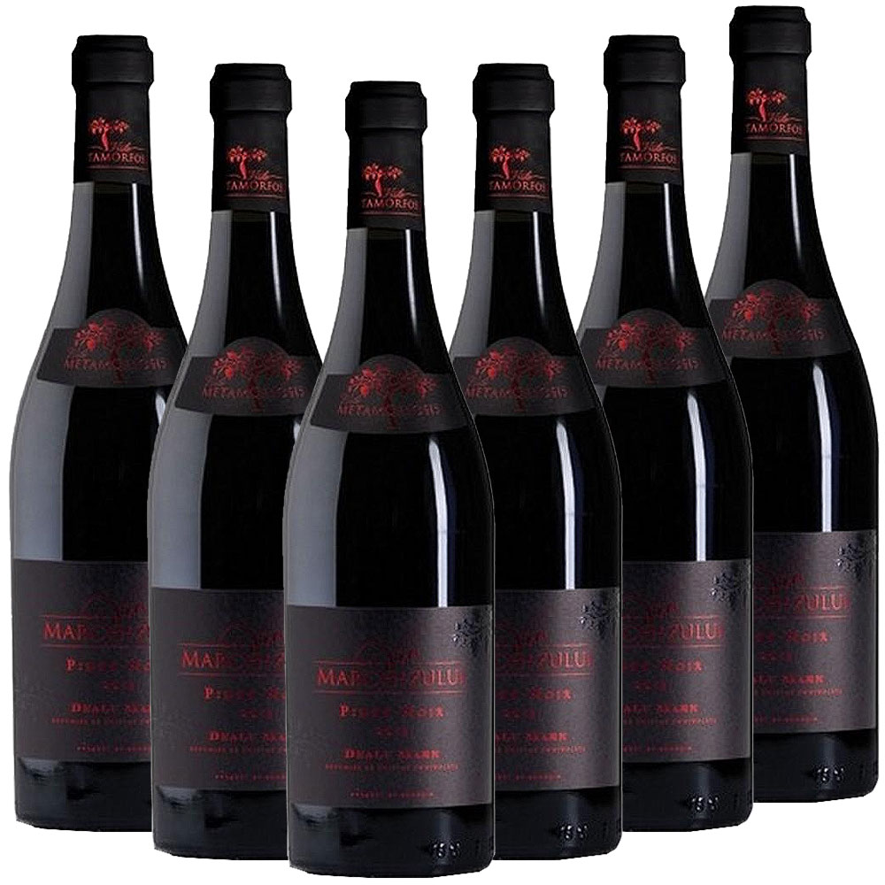 Vitis Metamorfozis VIA MARCHIZULUI Pinot Noir DOC - 6er Karton